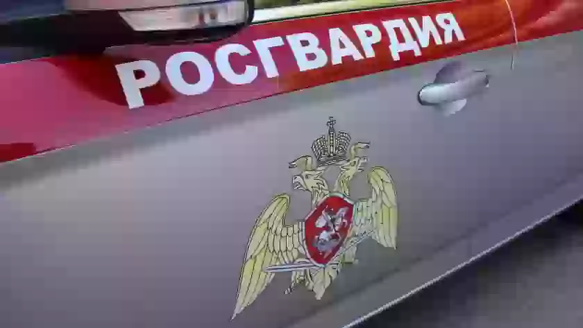22 единицы оружия изъяли росгвардейцы за неделю в Псковской области