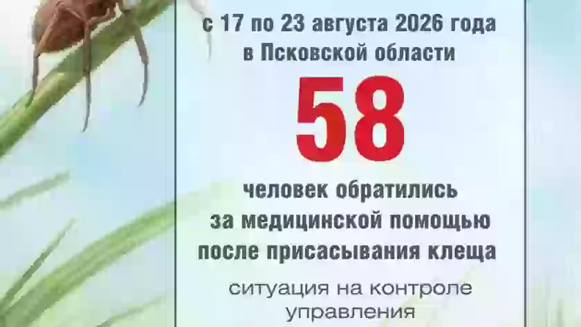 В Великих Луках за сезон зарегистрировано 324 случая присасывания клещей