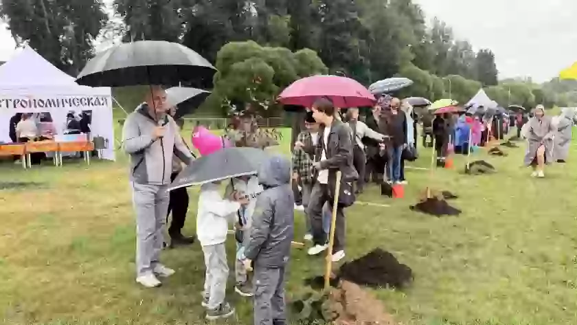 В парке Петровском высадили декоративные яблони в честь 860-летия Великих Лук