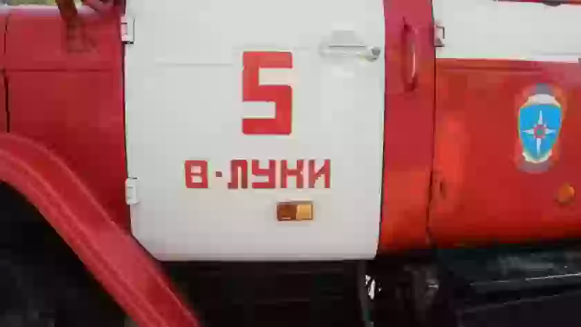 В Великолукском муниципальном округе с начала пожароопасного сезона зафиксировали 4 лесных пожара