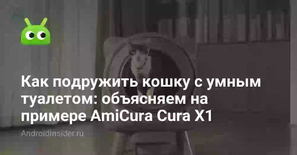 Как подружить кошку с умным туалетом: объясняем на примере AmiCura Cura X1